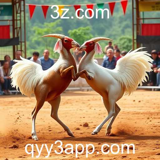 Explorando o Universo dos Jogos de Sabong com o qyy3 app